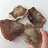 Wholesale high quality various sizes of natural wood fossil wood chips cut petrified wood