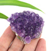 Wholesale High quality Natural Crystal Cluster Amethyst Cluster For Gifts