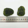 Rought Moldavite Meteorolite Rough Tektite