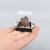 small acrylic mineral box natural raw rocks and crystal specimens box wholesale